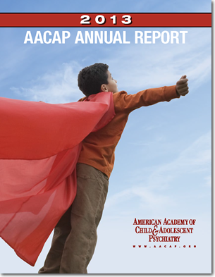 2013 AACAP Annual Report